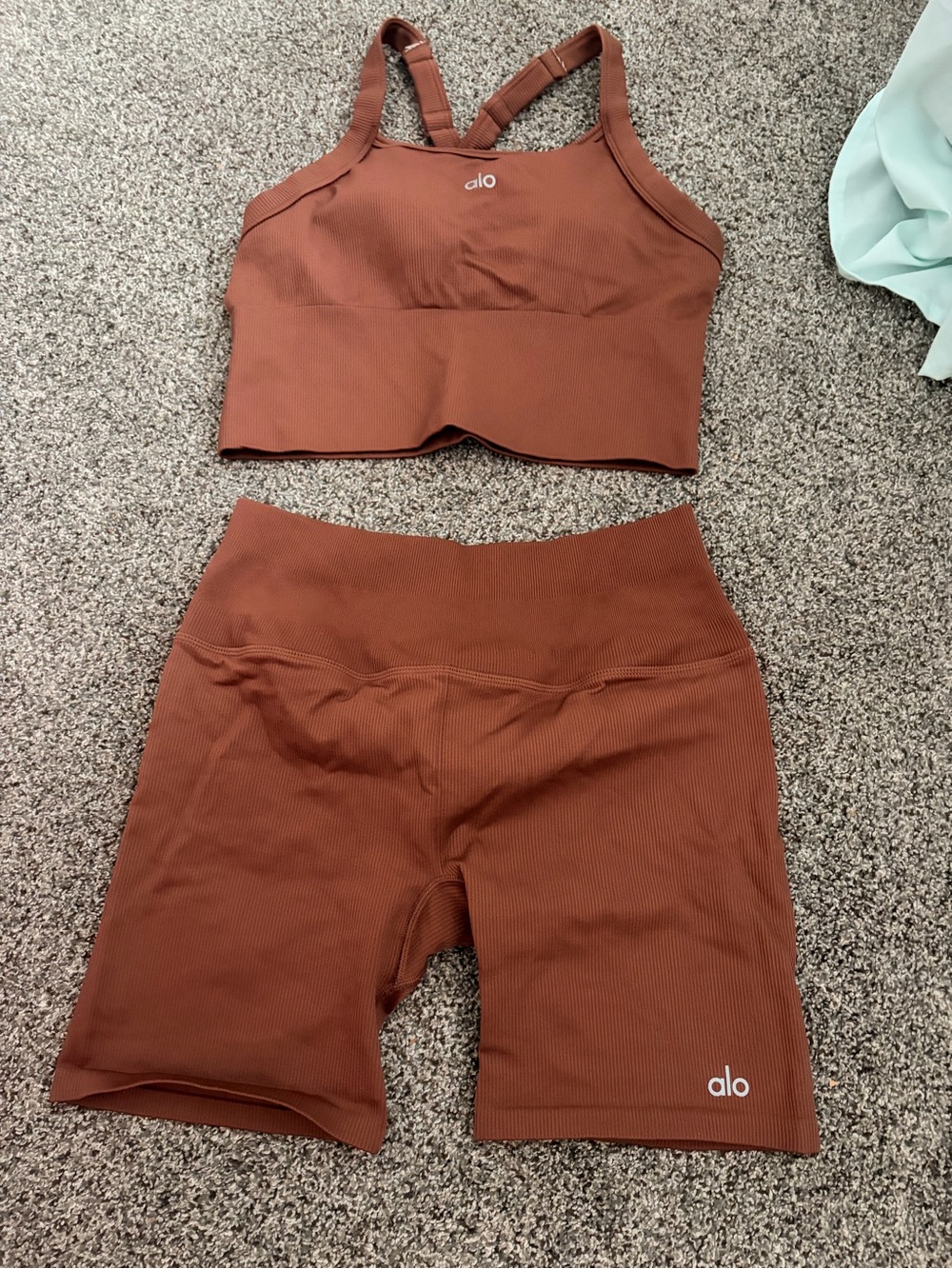 LIKE NEW ALO Yoga Seamless High-Rise Bike Shorts & Sports Bra Set